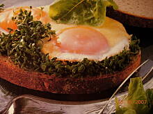 Fot. topsiuniaa, Jajka sadzone na chlebie