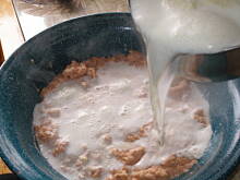 Fot. gollunia, Żebroczka