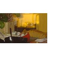 Efektowna zimna przekąska