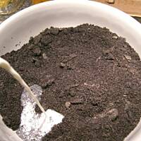 Makowiec zawijany jak okulary