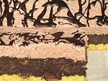 Fot. peggy83, Makowo - orzechowy