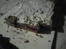 Fot. donia84, Piernikowa krajanka