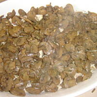 Zapiekanka potrawka z piersi kurczaka i pieczarek