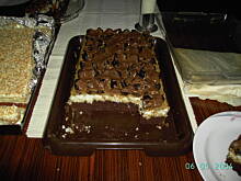 Fot. osulka, Śliwa w czekoladzie