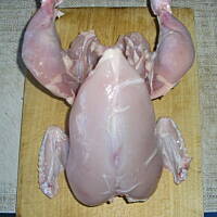 Złote curry z kurczakiem Iglosika