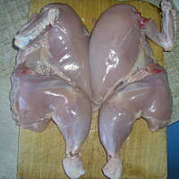 Złote curry z kurczakiem Iglosika