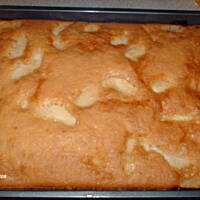 Placek  z  jabłkami  Tatiany