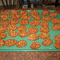 Szyszunie-najlepsze na świecie