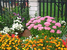 Fot. K6SIC6, wspomnienie lata