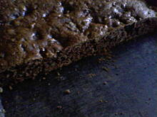 Fot. Ania z Zielonego Wzgórza, Piernik bez miodu