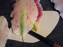 Fot. gosia5982, Kwiaty - Lilia