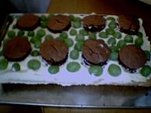 Fot. Dorotaxx, Beatka siostry Anastazji