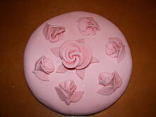 Fot. pulsilla, Pink Cake