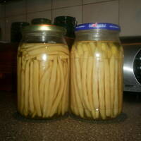 fasolka szparagowa na zimę