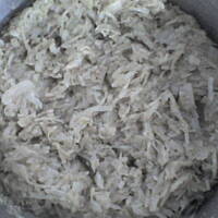 kapusta biala - moja ulubiona