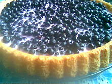 Fot. yavandile, Jagodowiec