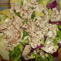 Sałatka pstry Pstrąg