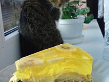 Fot. eoos, biało-czarny budyniowiec