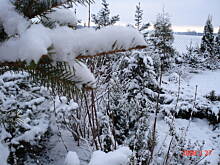 Fot. asiek32, Zima wiosną...