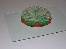 Fot. mariateresa, Galaretkowe  kwiaty