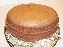 Fot. ewe, torcik mieszaniec