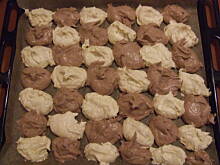 Fot. ilka76, Szachownica z kremem budyniowym