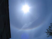 Fot. Iloria_S, Jak sądzicie, co to?