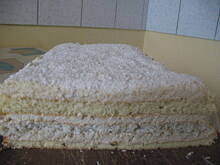 Fot. alfa_beta, RAFAELLO Z ADVOKATEM