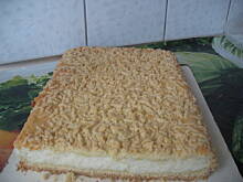 Fot. alfa_beta, KOKOSANKA INNA