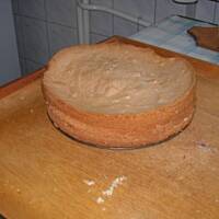 Biszkopt masa śmietanowa i owoce z galaretkami