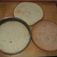 Biszkopt masa śmietanowa i owoce z galaretkami