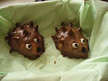 Fot. aloiram, Ciastka jeżyki - jak żywe