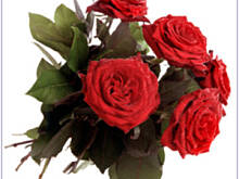 Fot. makusia, bea39 i Regina Florczak to dzisiejsze jubilatki !!