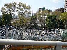 Fot. Mari, Migawki z tokijskiej /i nie tylko/ ulicy