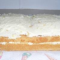 Tort Książka