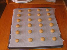 Fot. arabis, Cynamonowi twardziele