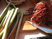 Fot. arabis, Lekko kwaskowy RABARBAROWY zawrót głowy