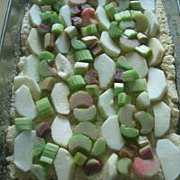 Budyniowiec z owocami