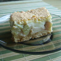 Budyniowiec z owocami