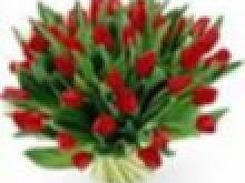 Fot. Patrycja0, Kto obchodzi dziś urodzinki? Vikunia !!!!