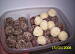 Fot. patysiapysia, Trufelki z orzechami i białą czekoladą