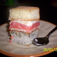 filozof siostry anastazji