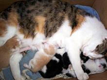 Fot. niebieska-różyczka, I co ja mam teraz zrobić?