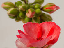 Fot. Wkn, Taka sobie zgadywanka :)