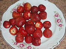 Fot. Dank@, Naleśniki z serem i truskawkami