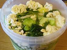 Fot. Barbara, Kiszona sałata