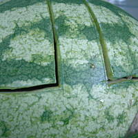 Owocowy kosz obfitosci - z arbuza