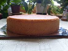 Fot. zosiek, Biszkopt Zosi