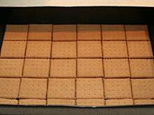 Fot. blue bear, rafaello blue bear