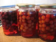 Fot. pau4linka, Kompot z czereśni